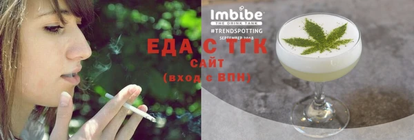 мдпв Гусев