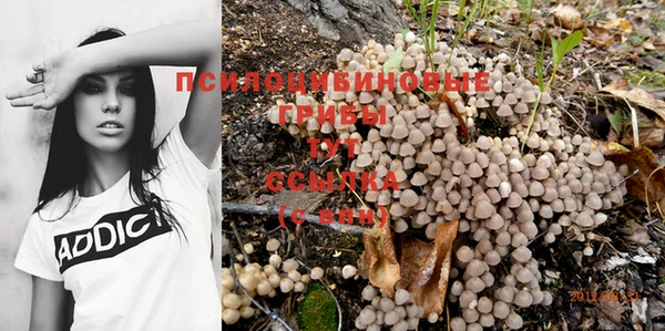 стафф Горно-Алтайск