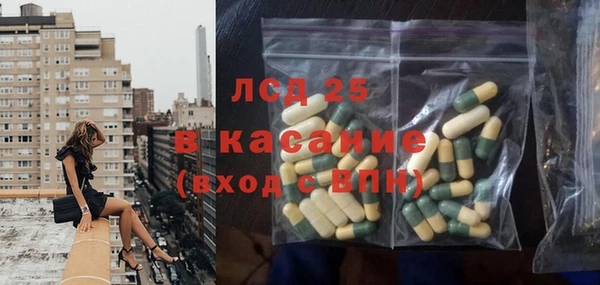 мдпв Гусев