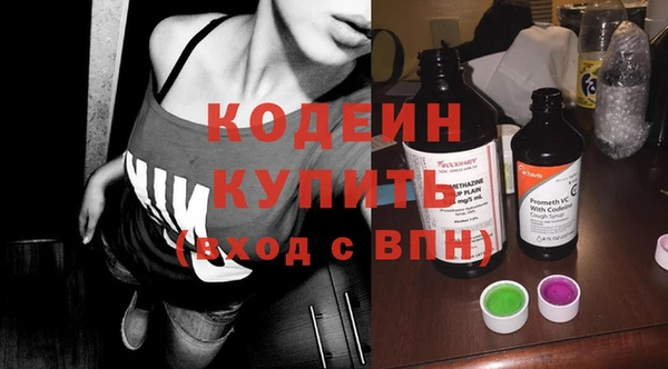 мдпв Гусев
